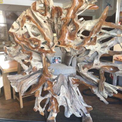 Solid teak tree root sculpture